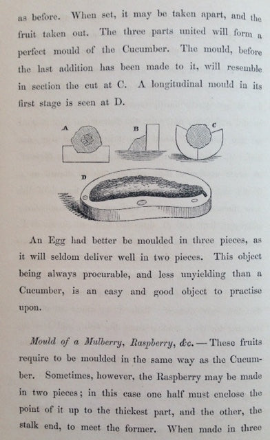 (Fruit) Wax Flowers, How to Make Them, with New Methods of Sheeting Wax, Modelling Fruit, &c.