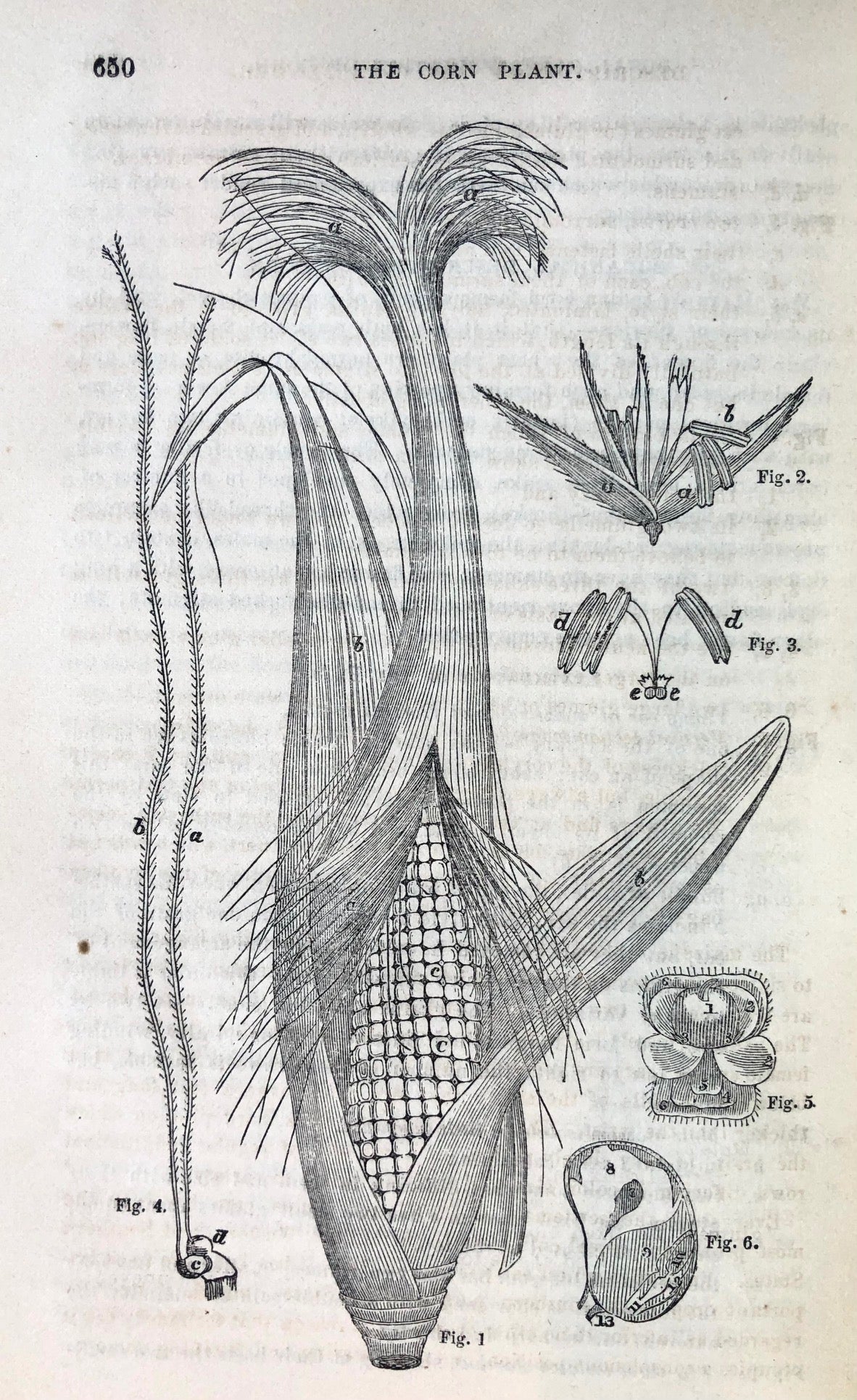 (Agriculture) John H. Klippart. The Wheat Plant: its Origin, Culture, Growth, Development, Composition, Varieties, Diseases, etc., etc., Together with a Few Remarks on Indian Corn, its Culture, etc.